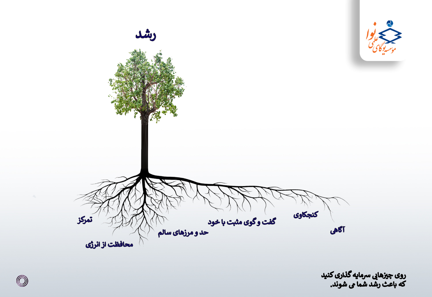 رشد و سرمایه گذاری